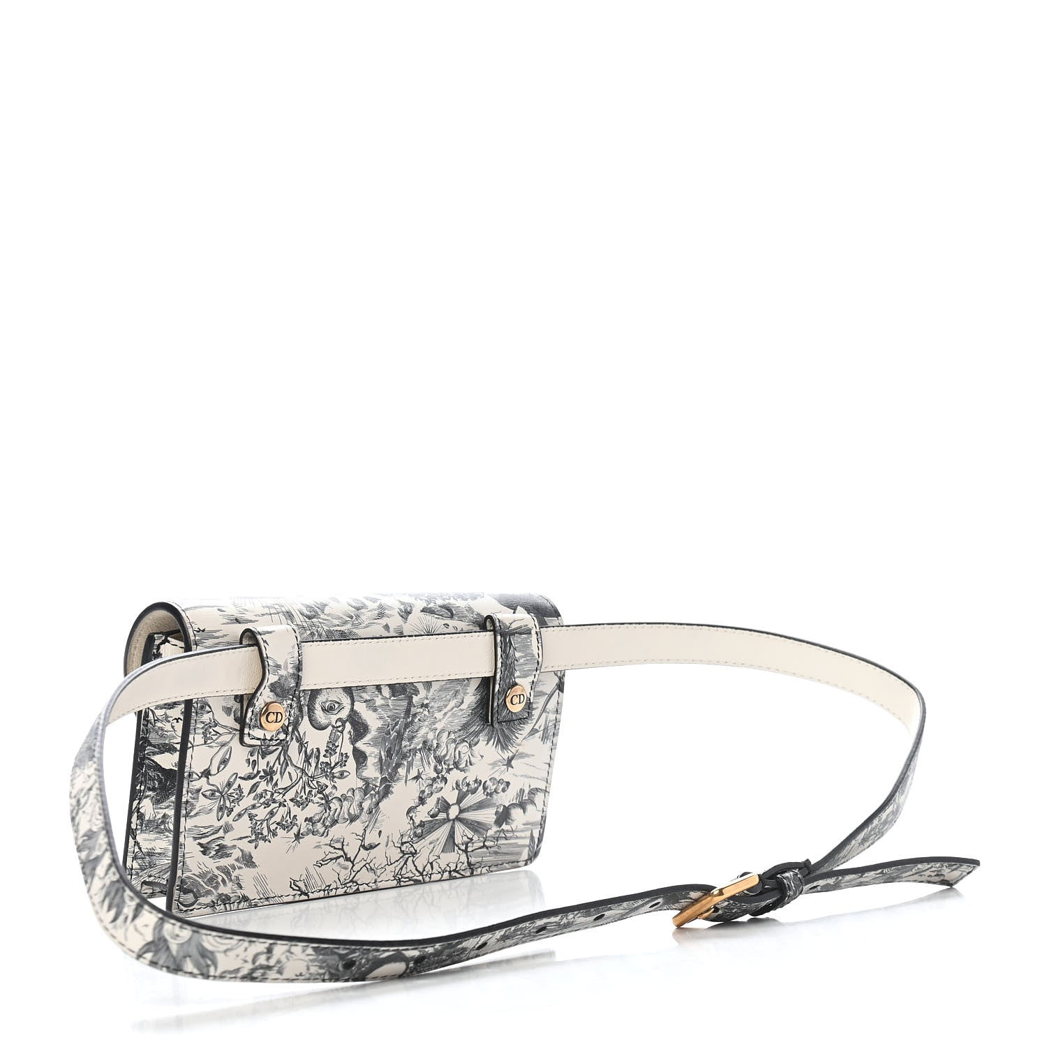 Christian Dior Calfskin Jardin Naturel Print Saddle Belt Bag Latte Multicolor 3 of 9