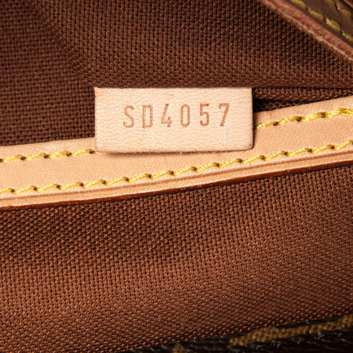 Monogram Cabas Mezzo