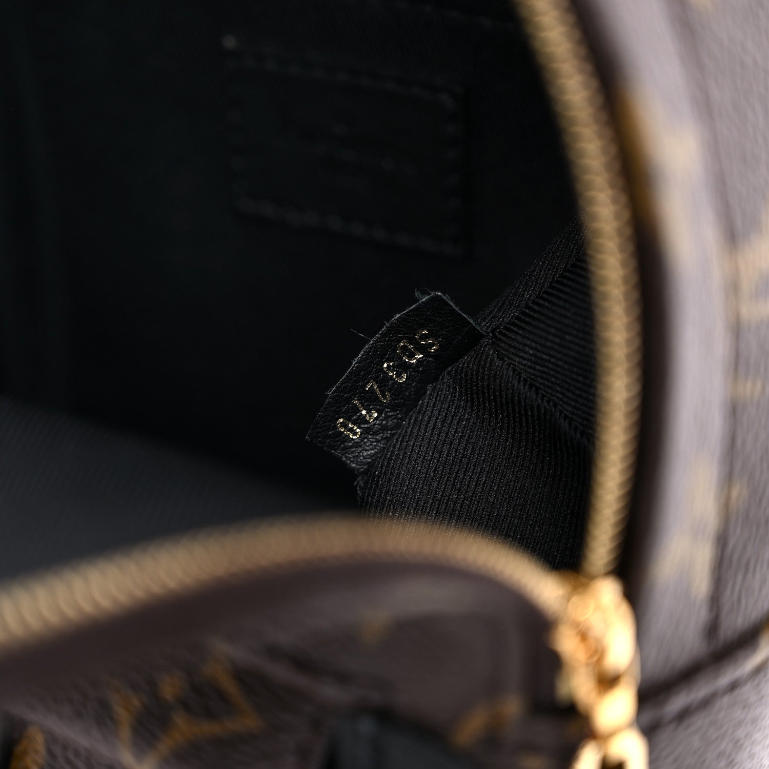 Louis Vuitton Monogram Palm Springs Backpack Mini 6 of 10
