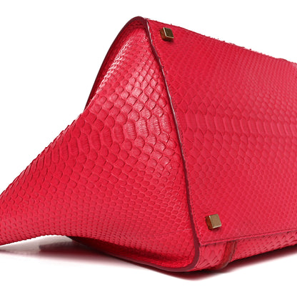 Celine Snakeskin Medium Phantom Luggage Fuchsia 9 of 11