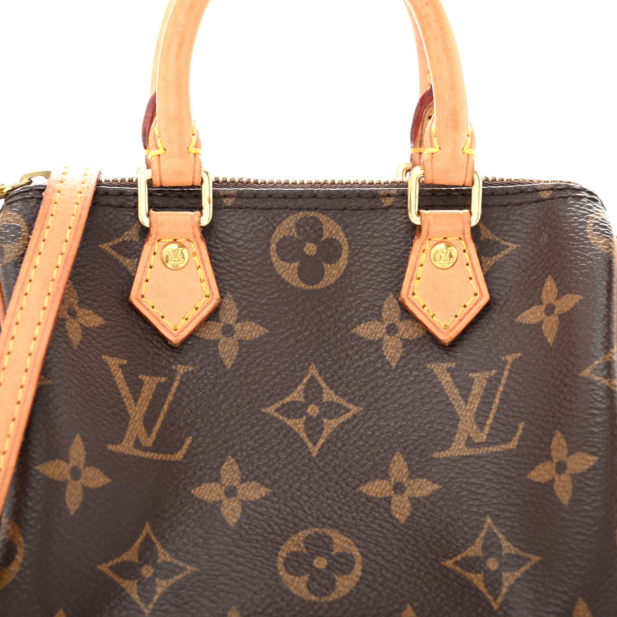 Monogram Nano Speedy