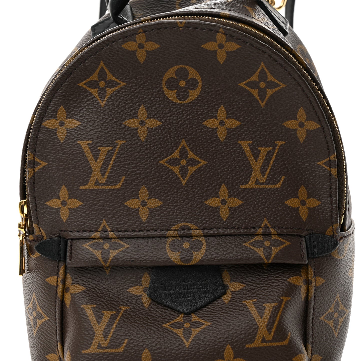 LOUIS VUITTON Monogram Palm Springs Backpack Mini