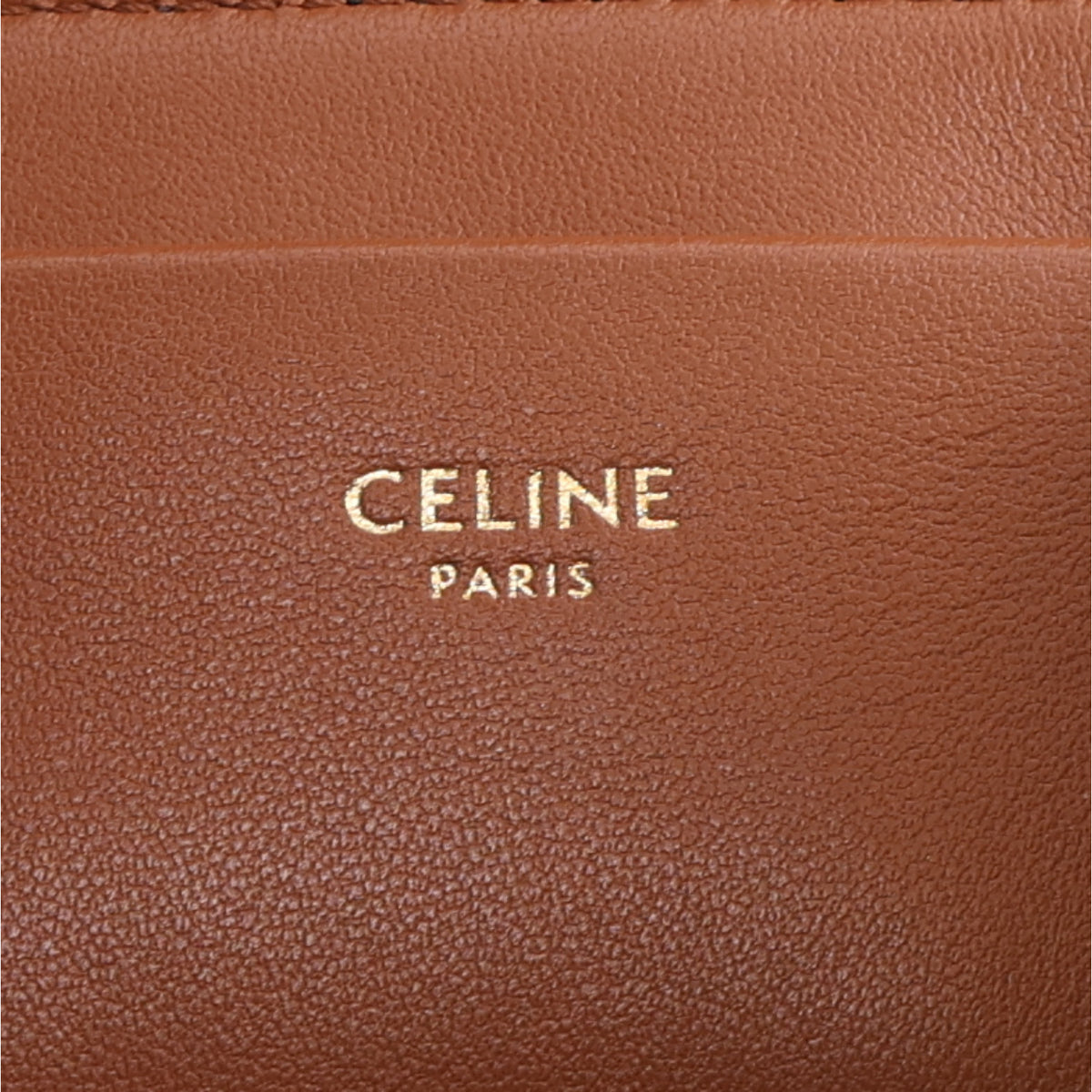 Celine Triomphe Canvas Medium Victoire Tan 5 of 10