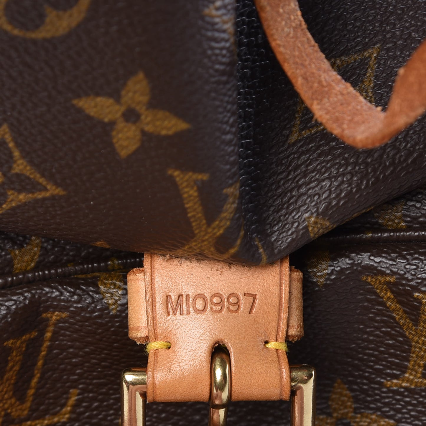 Monogram Montsouris GM Backpack