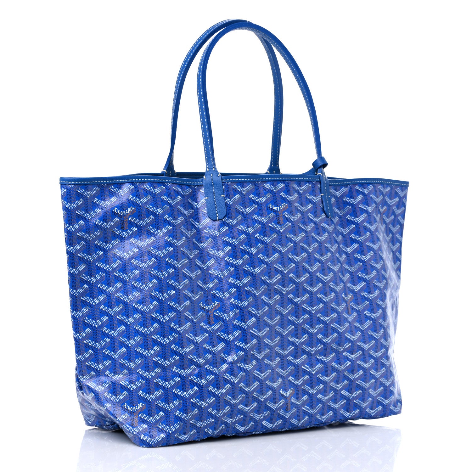 Goyard Goyardine Saint Louis PM Sky Blue 4 of 8