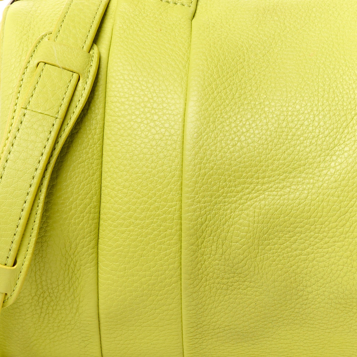 Pebbled Lambskin Rockie Acid Pale Gold Hardware