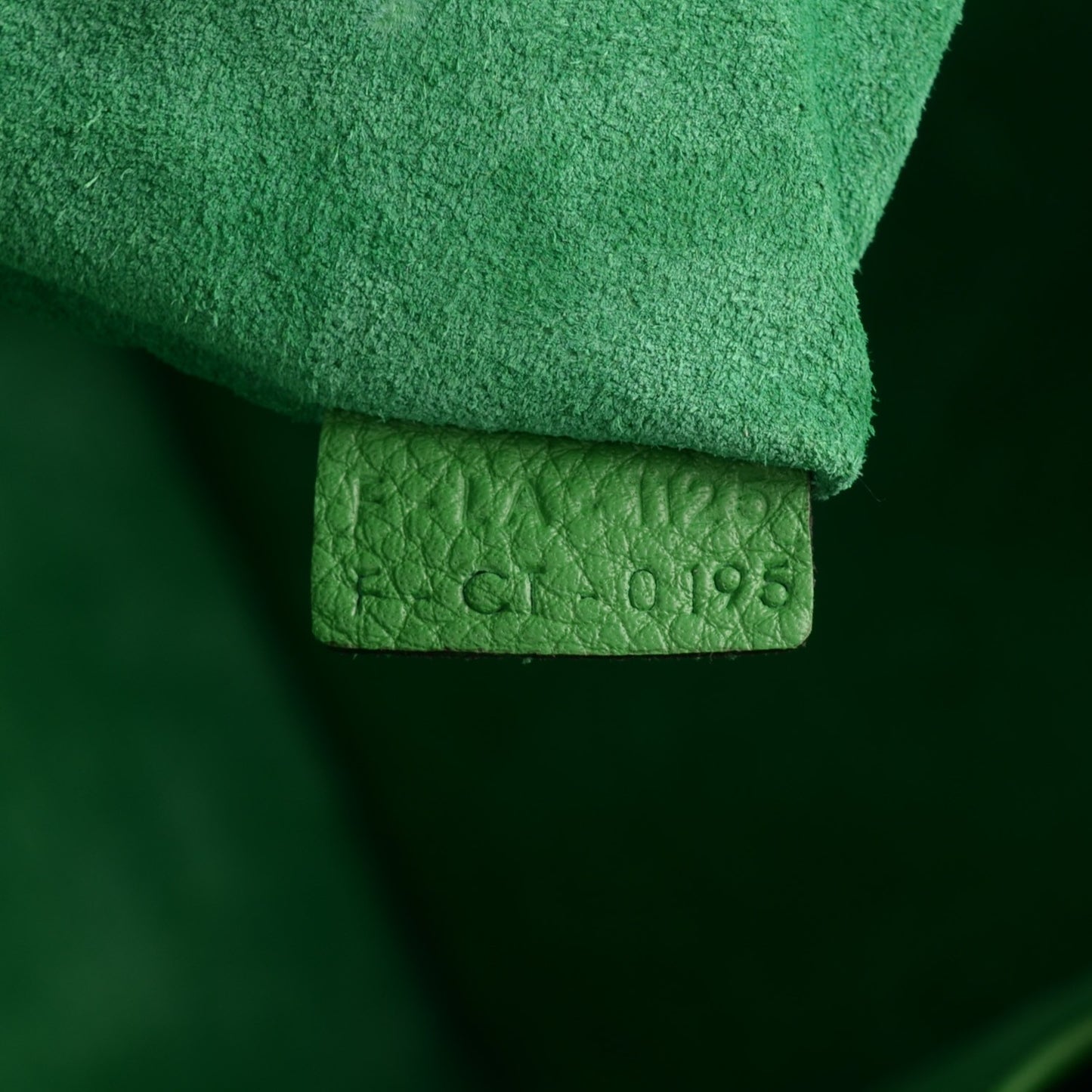 Drummed Calfskin Micro Luggage Mint