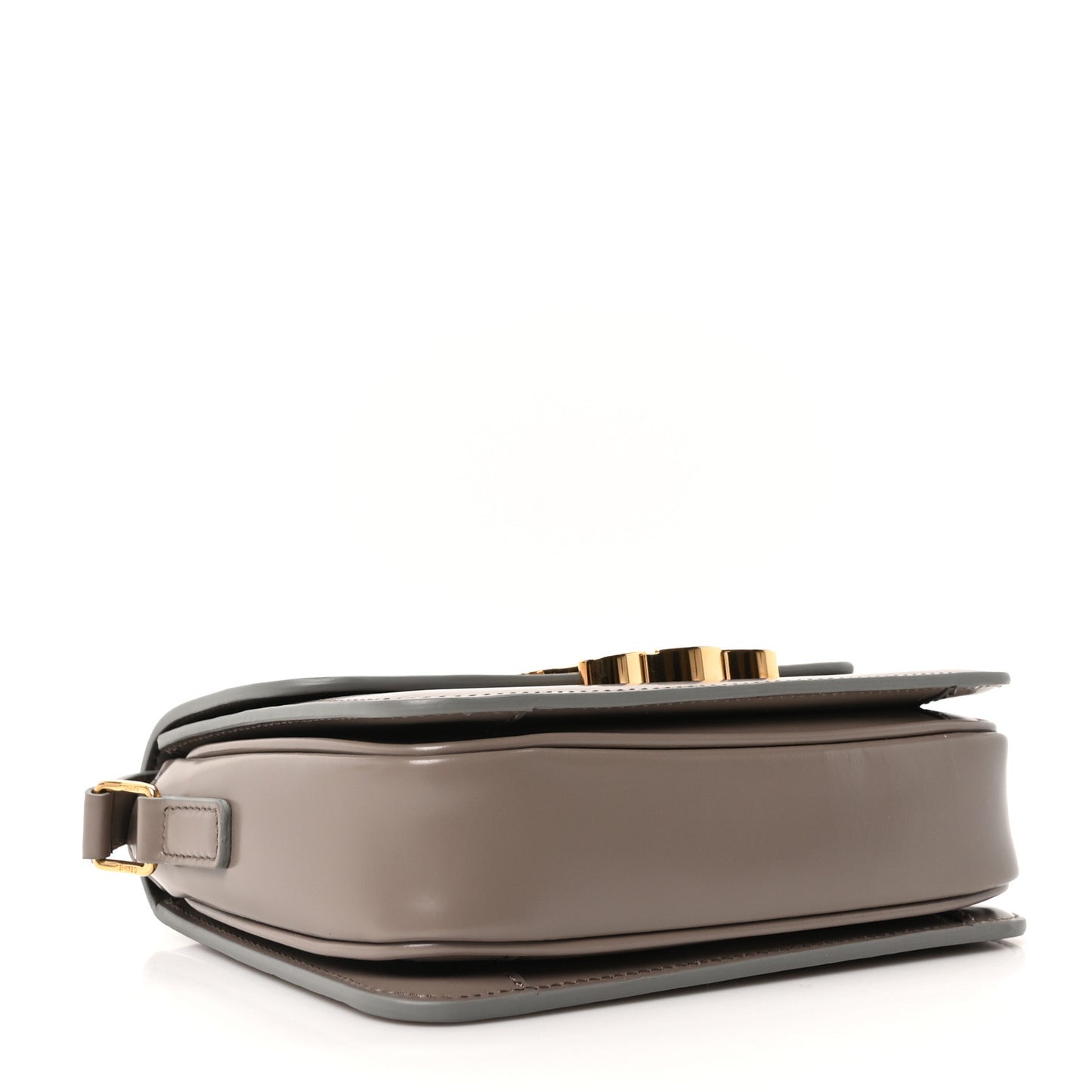 Shiny Calfskin Small Triomphe Pebble