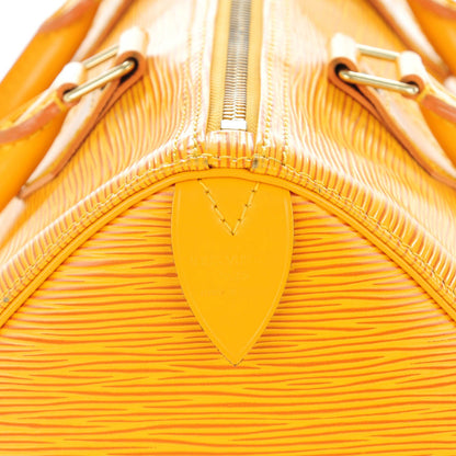 Louis Vuitton Epi Speedy 25 Tassil 5 of 8