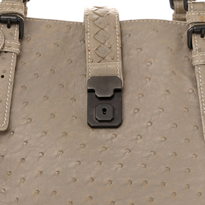 Bottega Veneta Ostrich Medium Roma Tote 8 of 11
