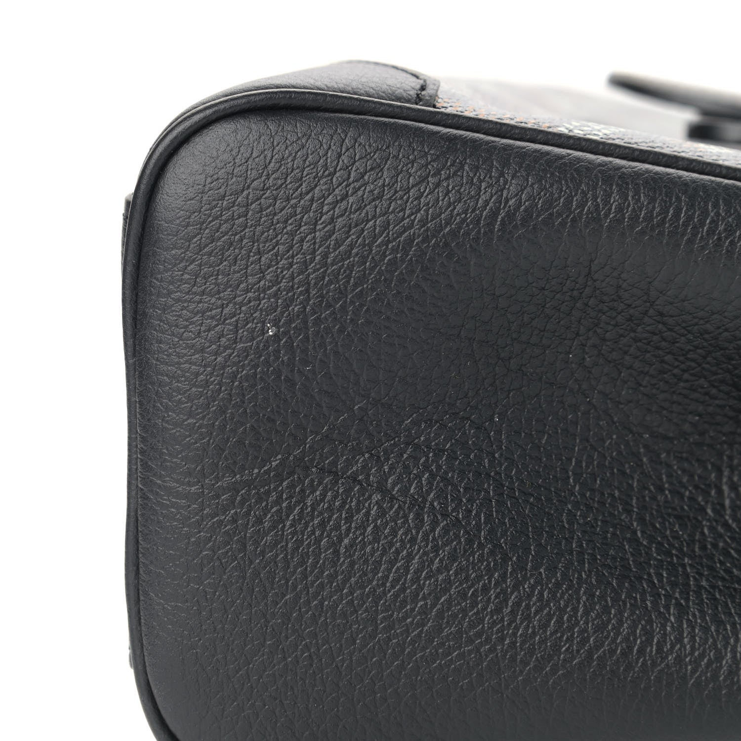 Goyard Goyardine Mini Saigon Black 8 of 11