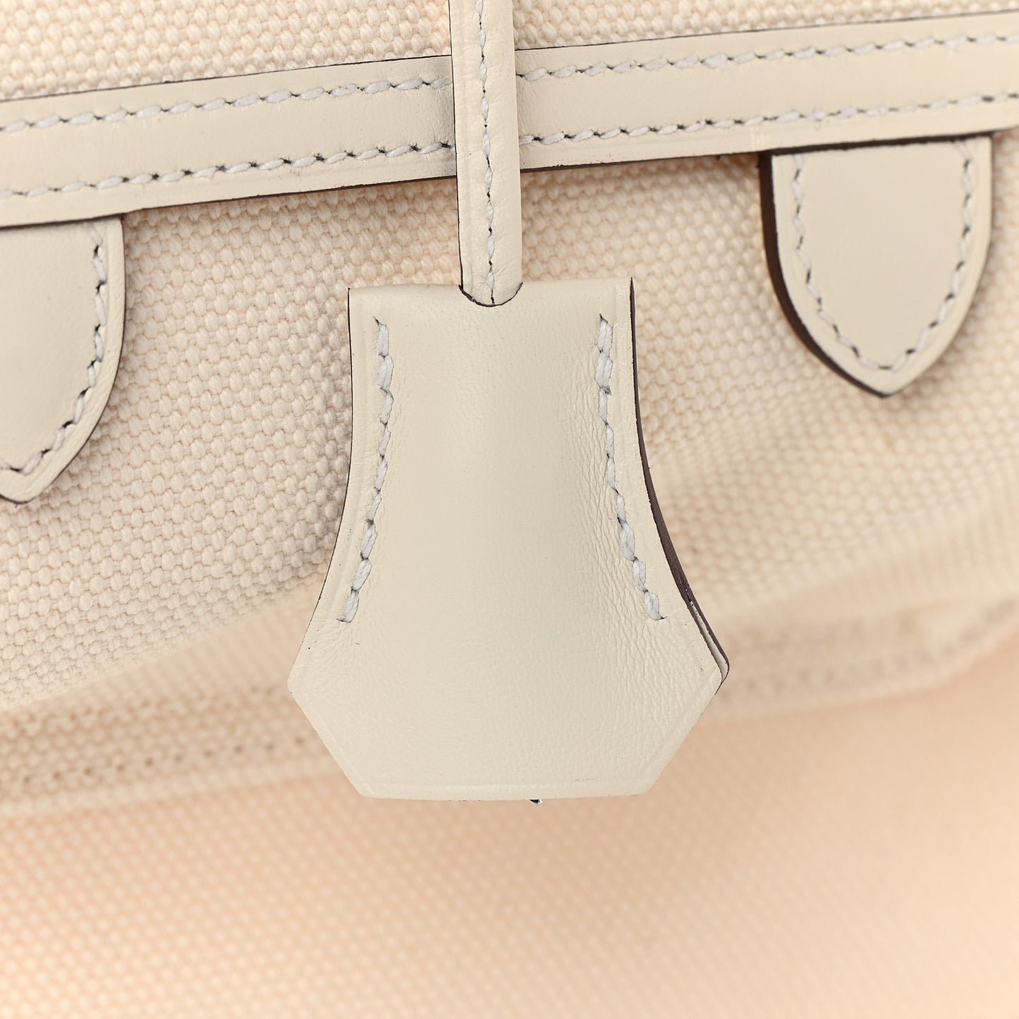 Toile Goeland Swift Cargo Birkin 35 Nata
