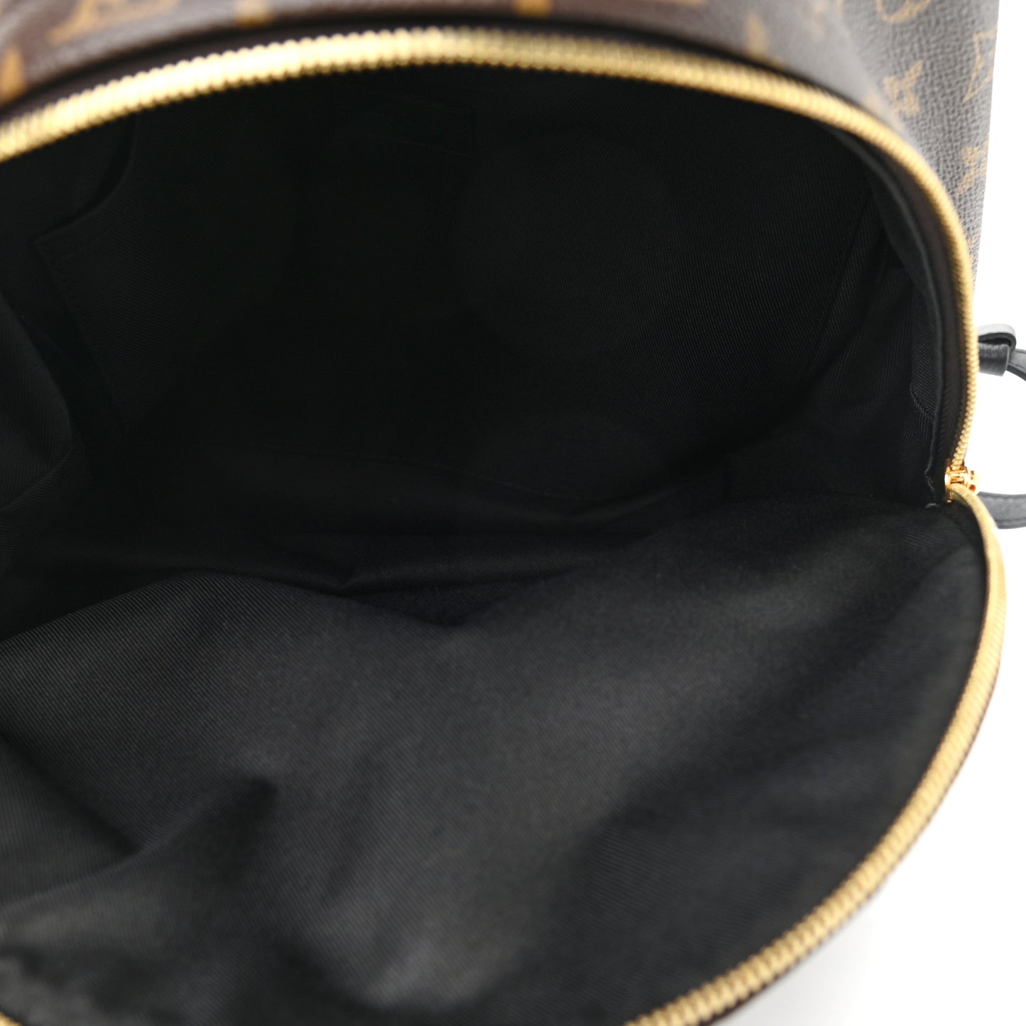 Monogram Palm Springs Backpack MM