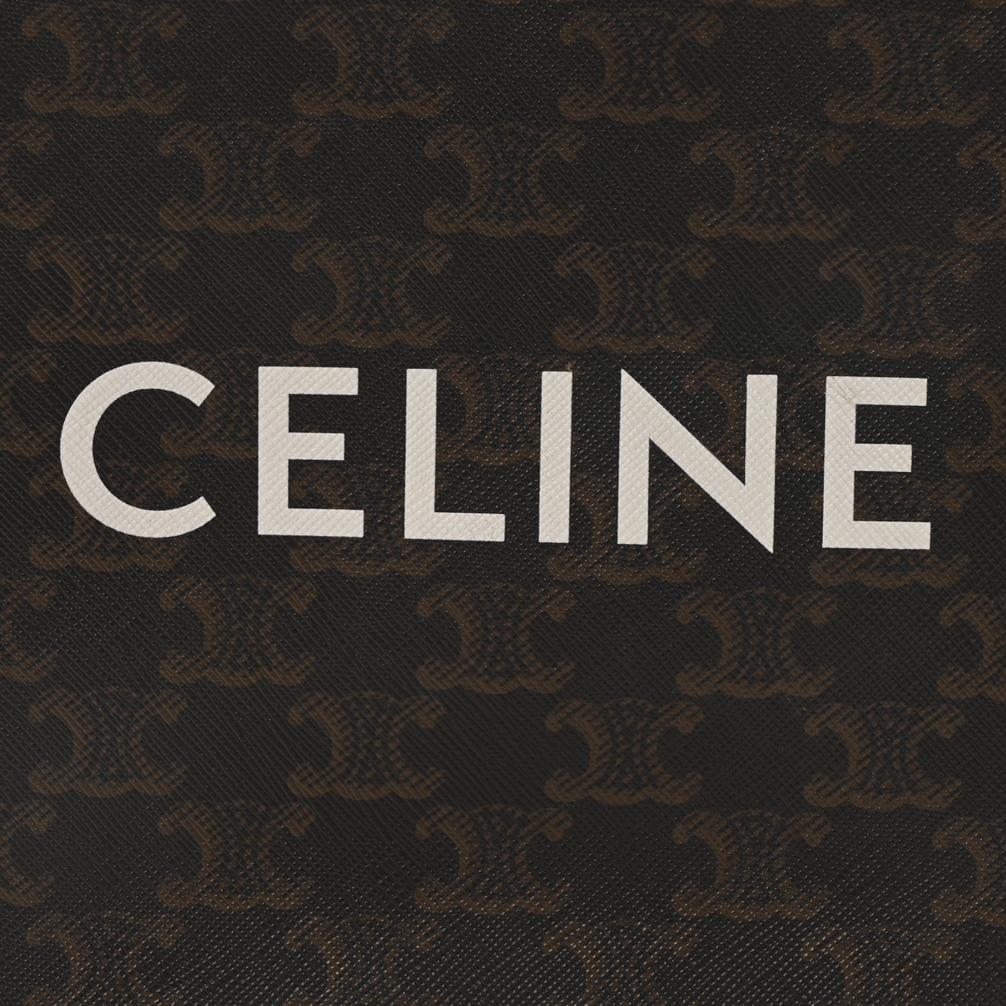 Triomphe Canvas Calfskin Mini Vertical Cabas Tan