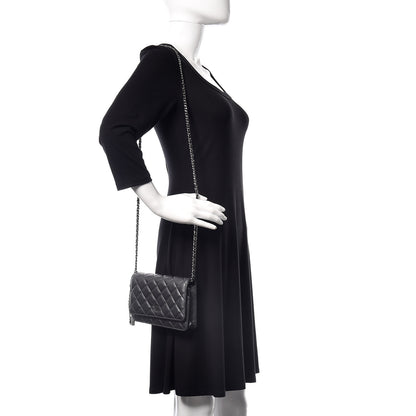 Chanel Aged Calfskin Quilted Tassel Wallet On Chain WOC Dark Silver 2 of 10