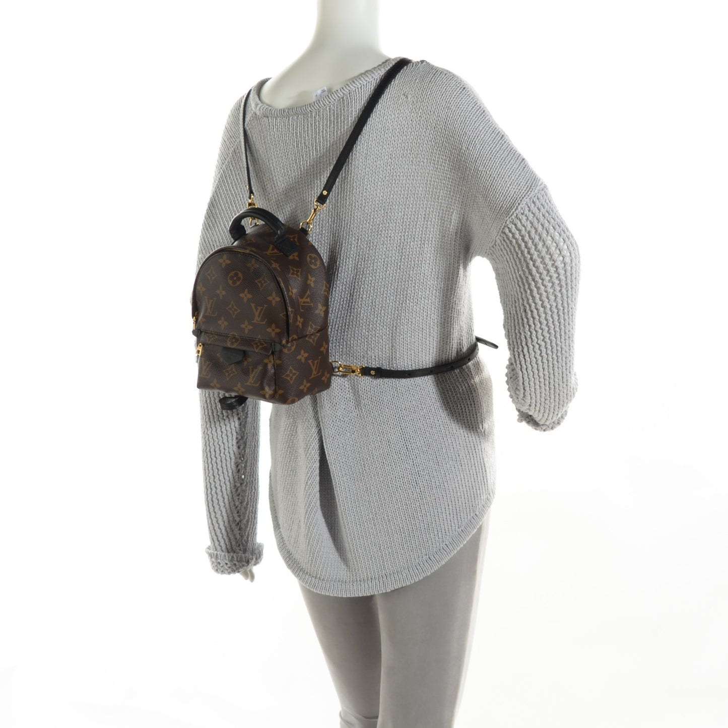 Monogram Palm Springs Backpack Mini