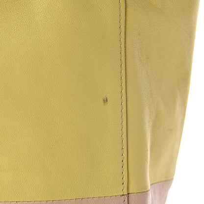 Celine Smooth Lambskin Small Vertical Bi-Cabas Beige Yellow 12 of 27
