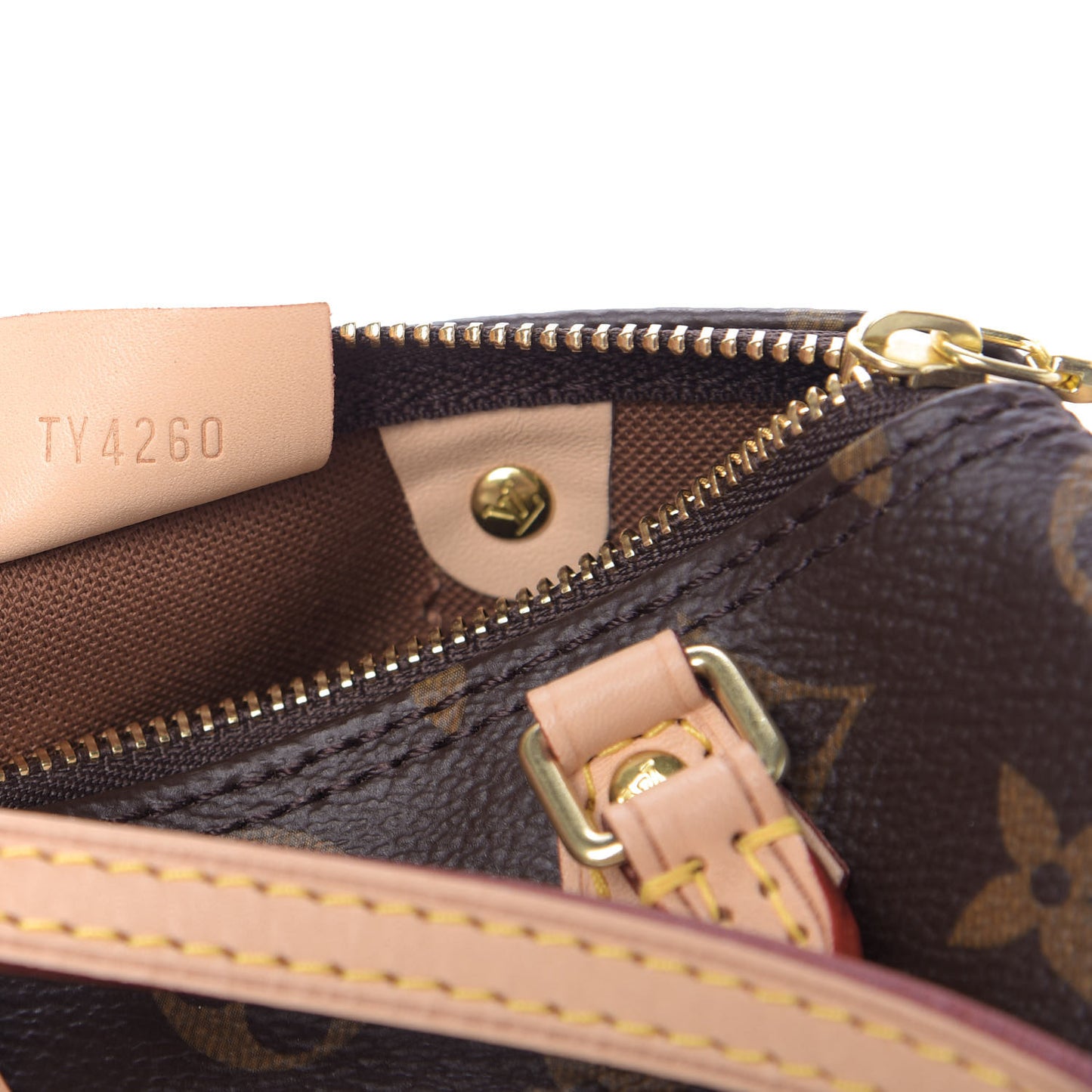 Monogram Nano Speedy