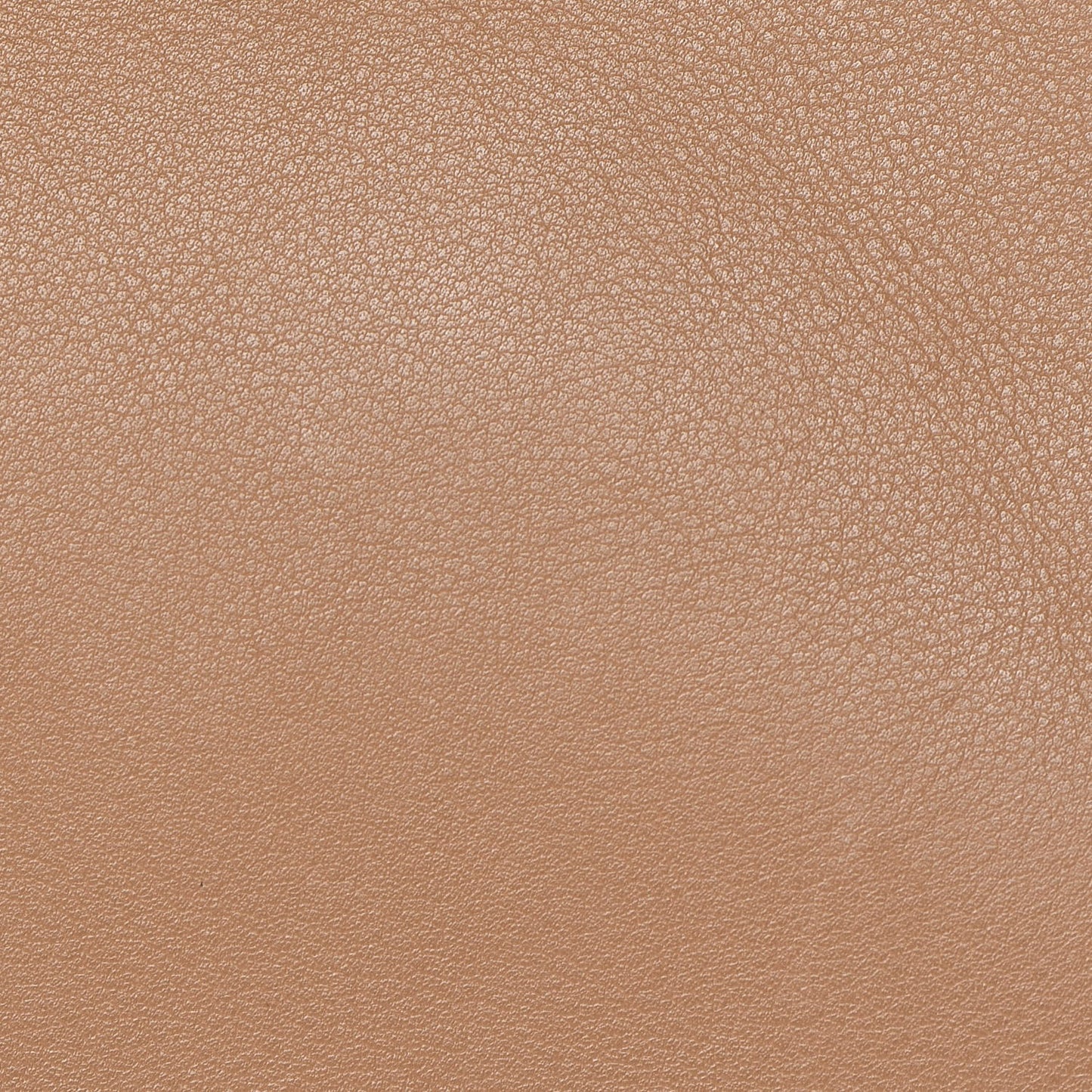 Swift Birkin 25 Biscuit
