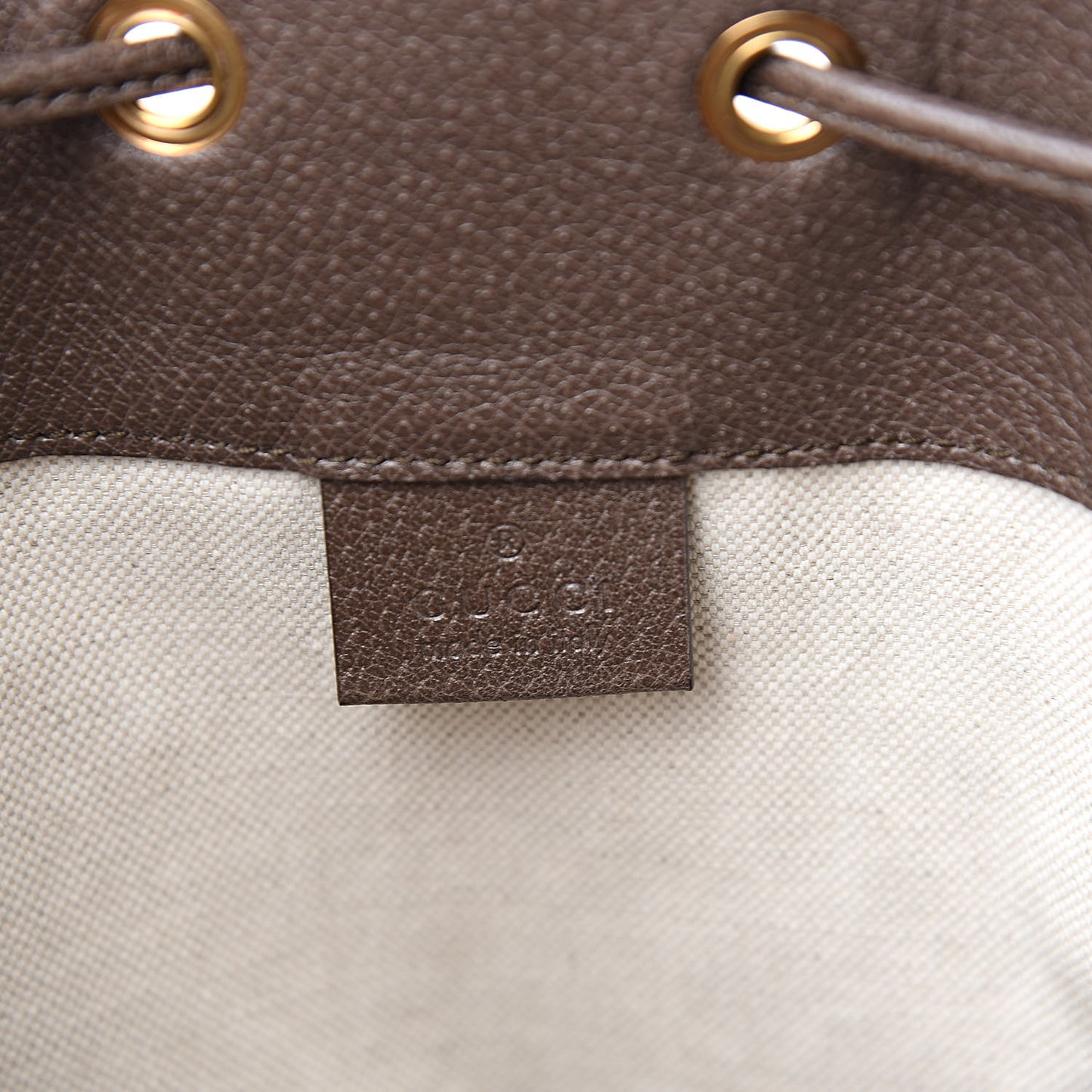 GG Supreme Monogram Web Ophidia Bucket Bag Brown