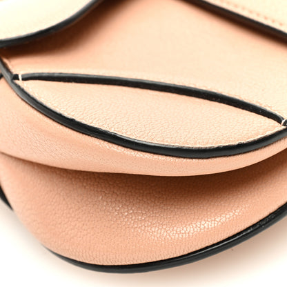 Christian Dior Goatskin Micro Saddle Bag Rose Des Vent 9 of 10