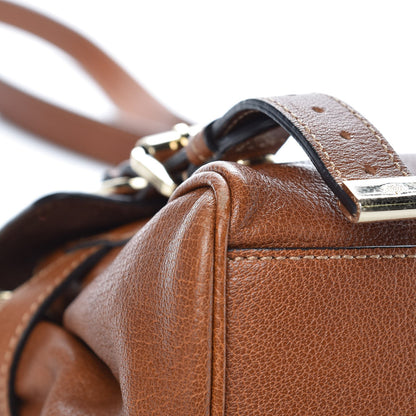 Mulberry Soft Buffalo Mini Alexa Oak 8 of 11