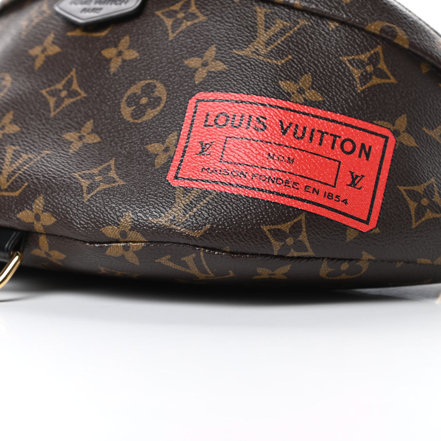 Monogram My LV World Tour Bumbag