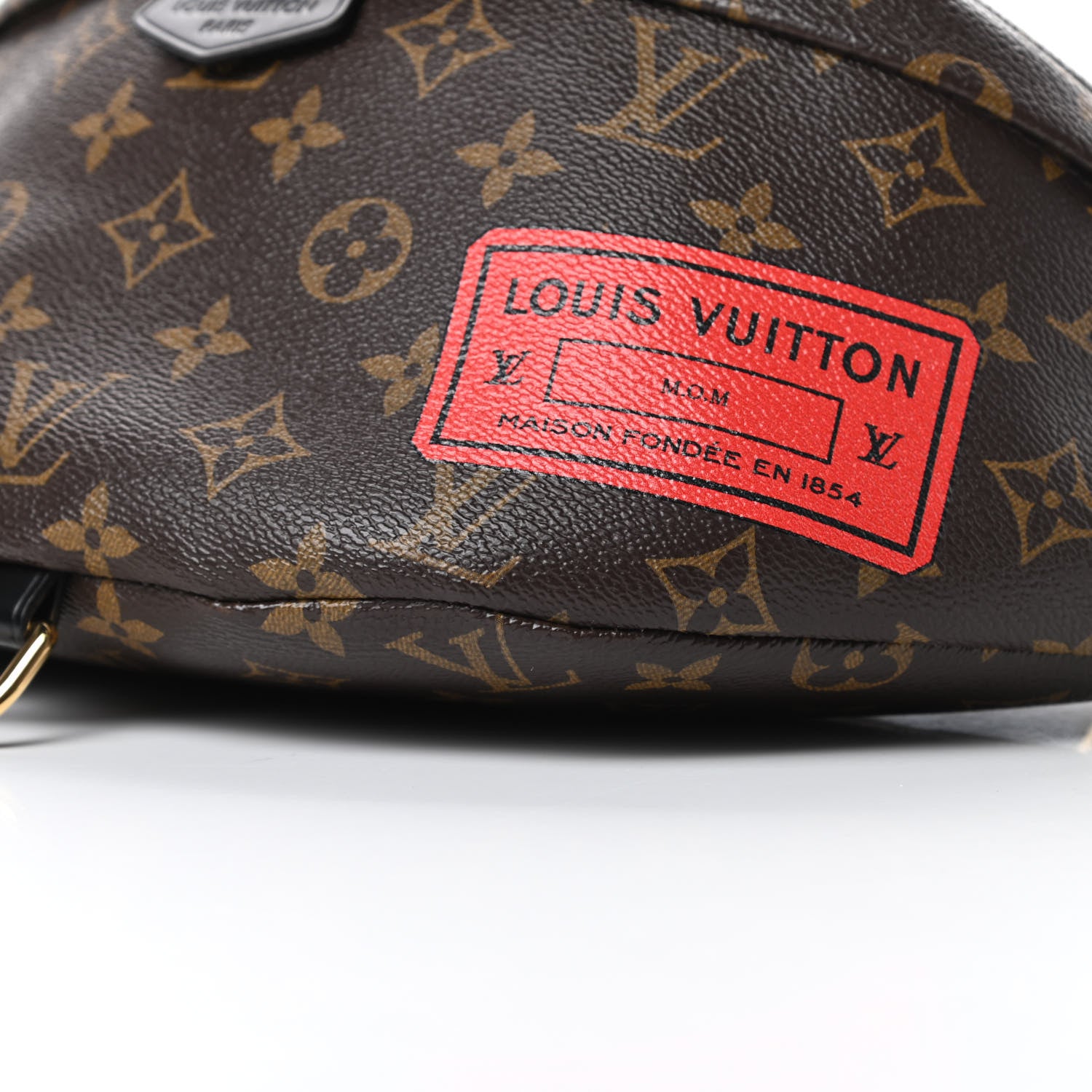Louis Vuitton Monogram My LV World Tour Bumbag 10 of 13