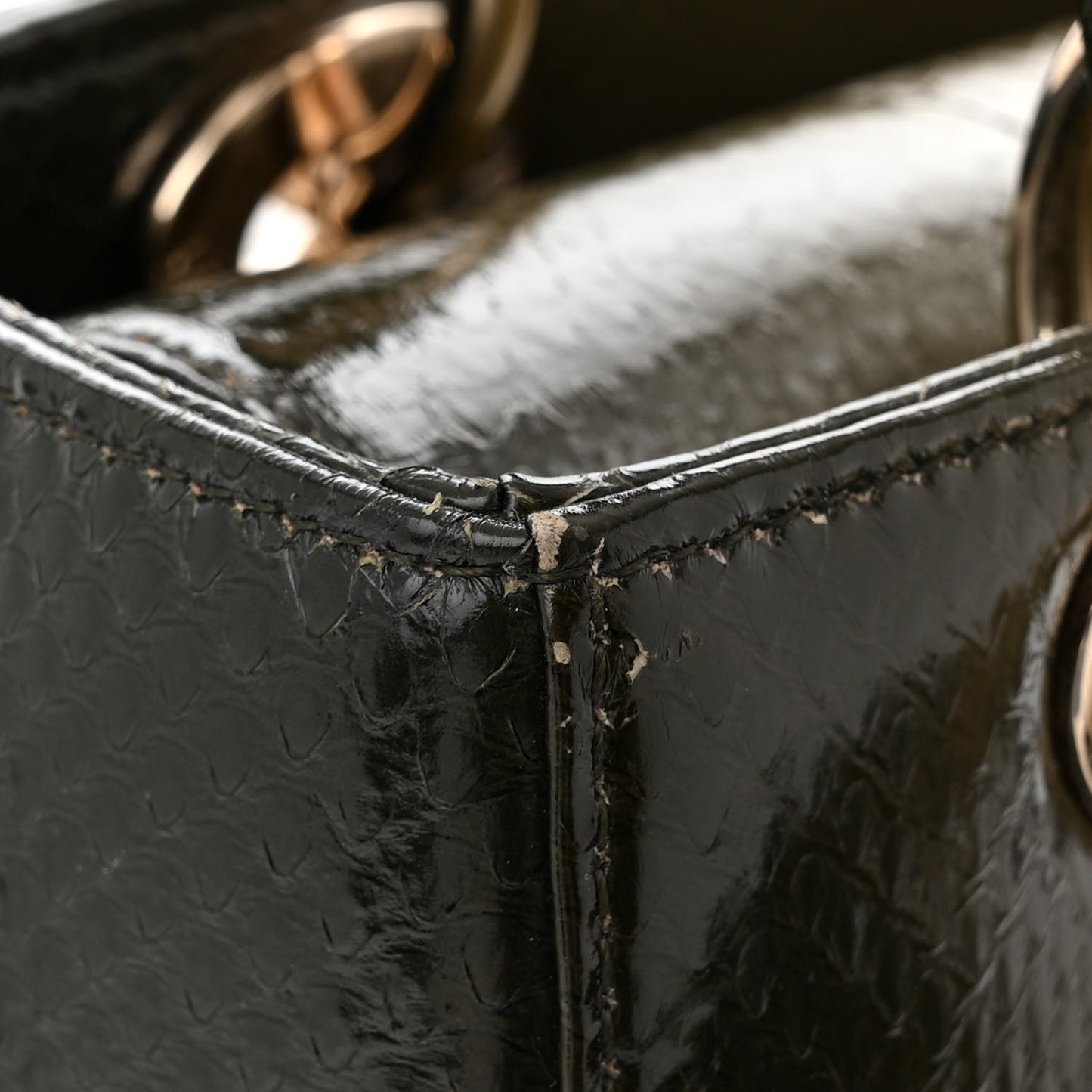 Snakeskin Medium Lady Dior Green