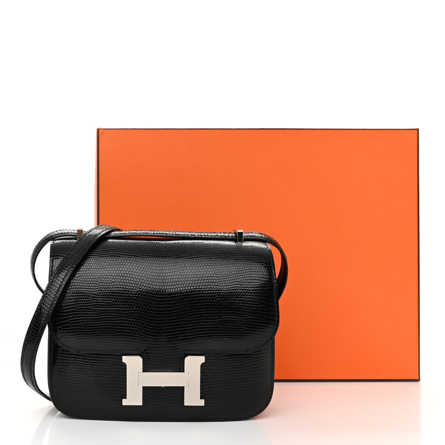 Lizard Constance 18 Black