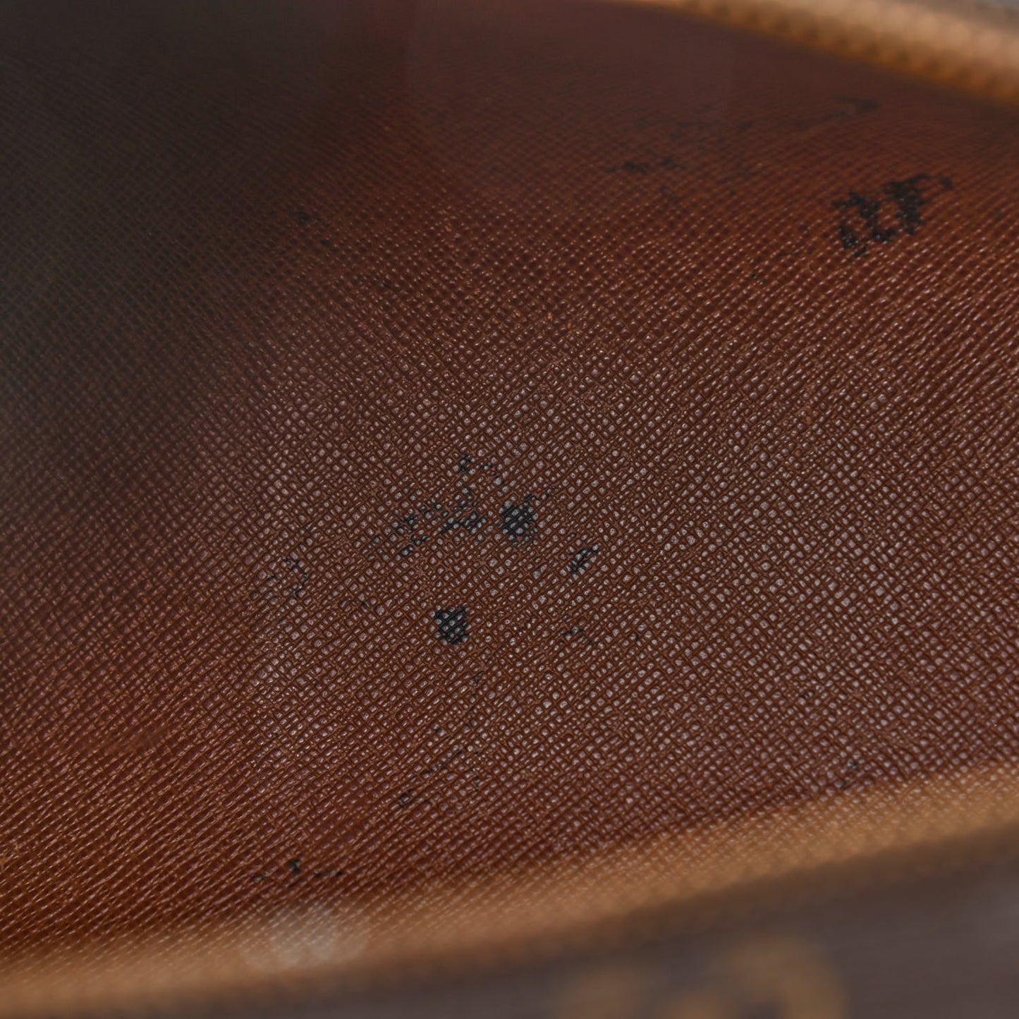 Monogram Papillon 26