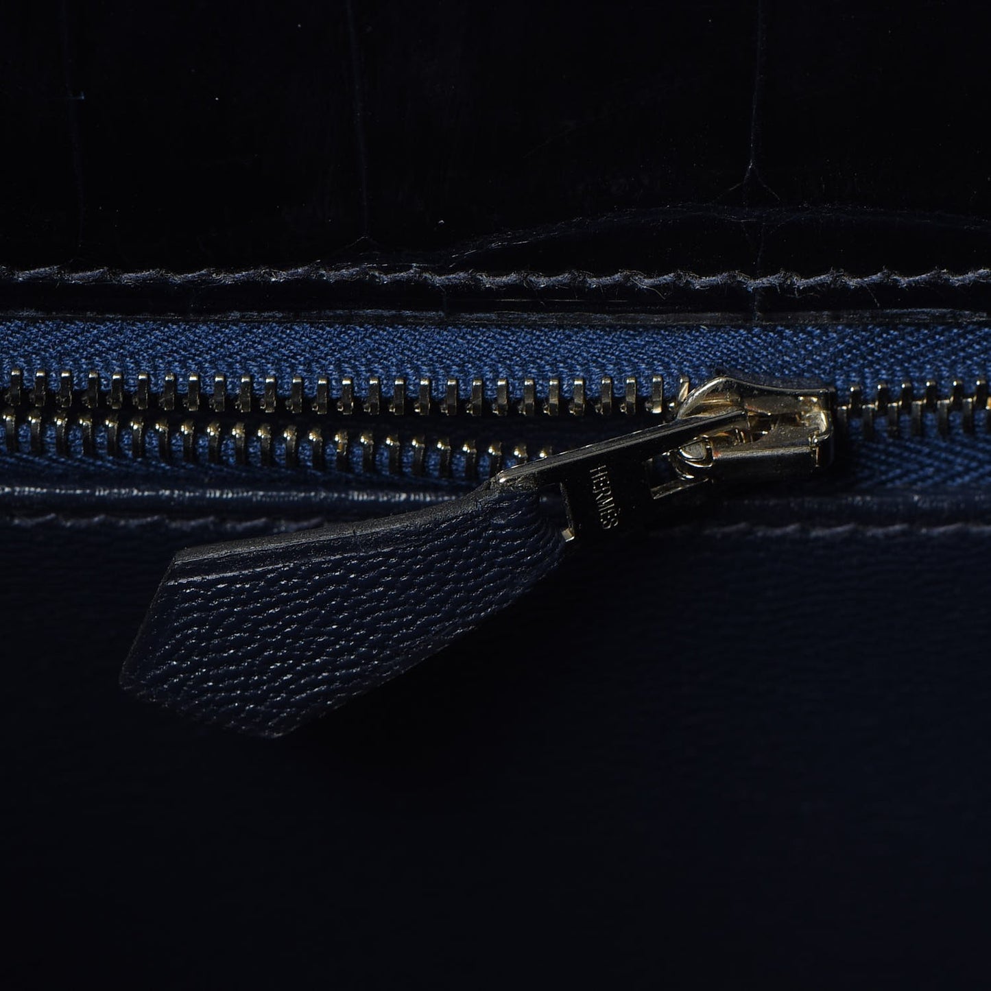Shiny Niloticus Crocodile Kelly Sellier 32