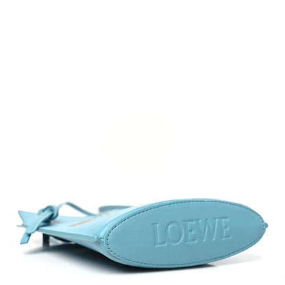 Loewe X HOWL'S MOVING CASTLE Calfskin Heen Dice Pocket 4 of 12
