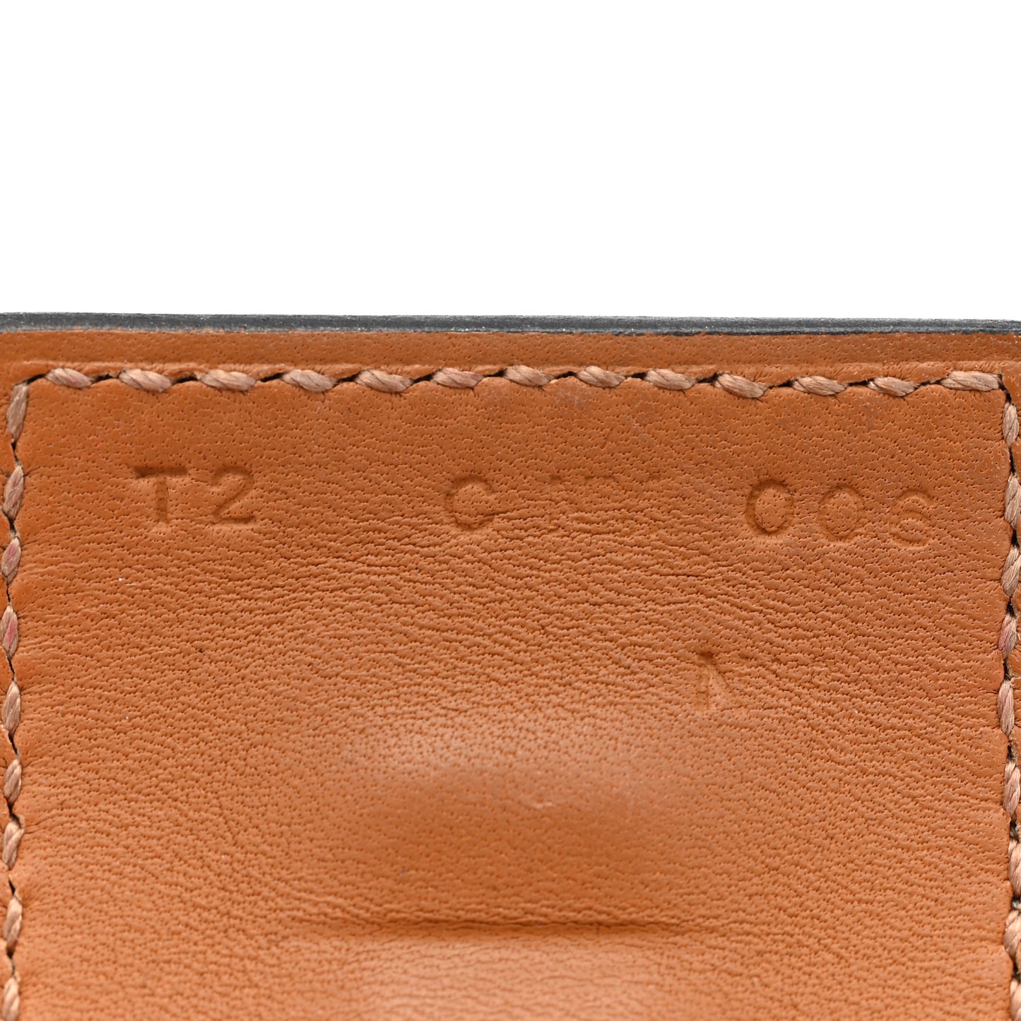 Lizard Collier De Chien CDC Bracelet T2 Ombre