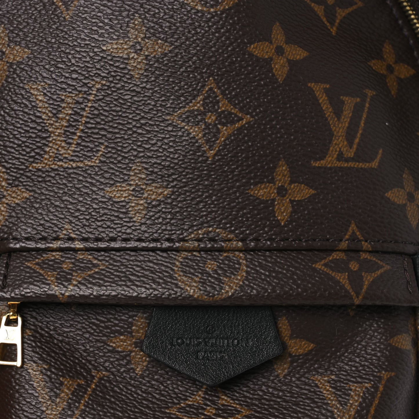Monogram Palm Springs Backpack Mini
