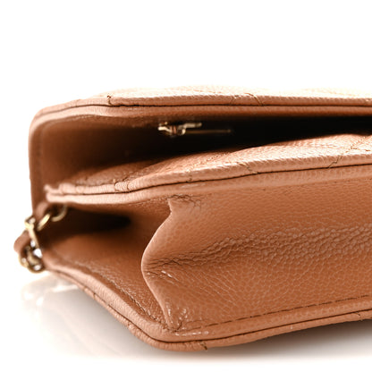 Chanel Caviar Quilted CC Turnlock Wallet On Chain WOC Brown 10 of 12