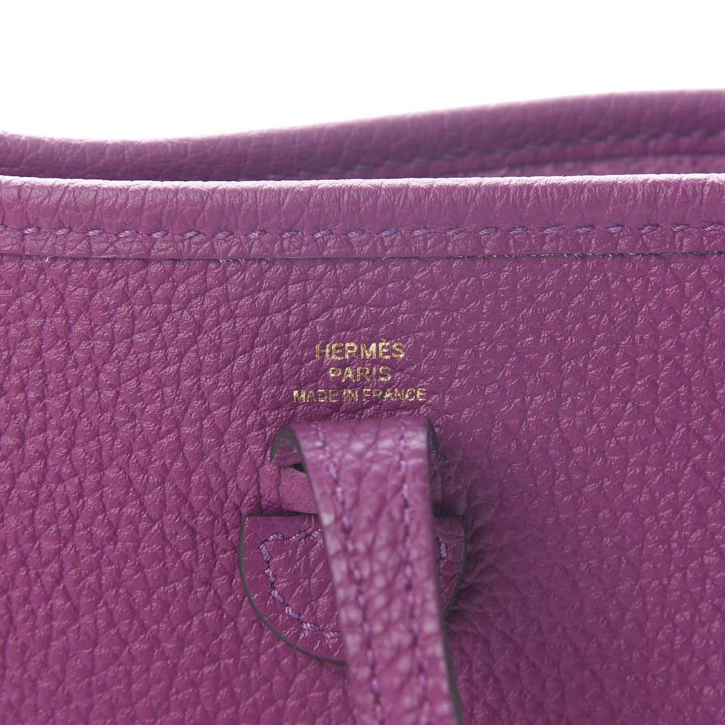 Taurillon Clemence Amazone Evelyne TPM Anemone Marine