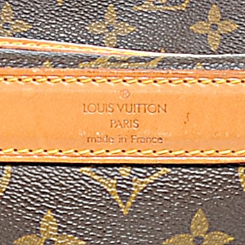 Louis Vuitton Monogram Sac Chien 40 Pet Carrier 7 of 8