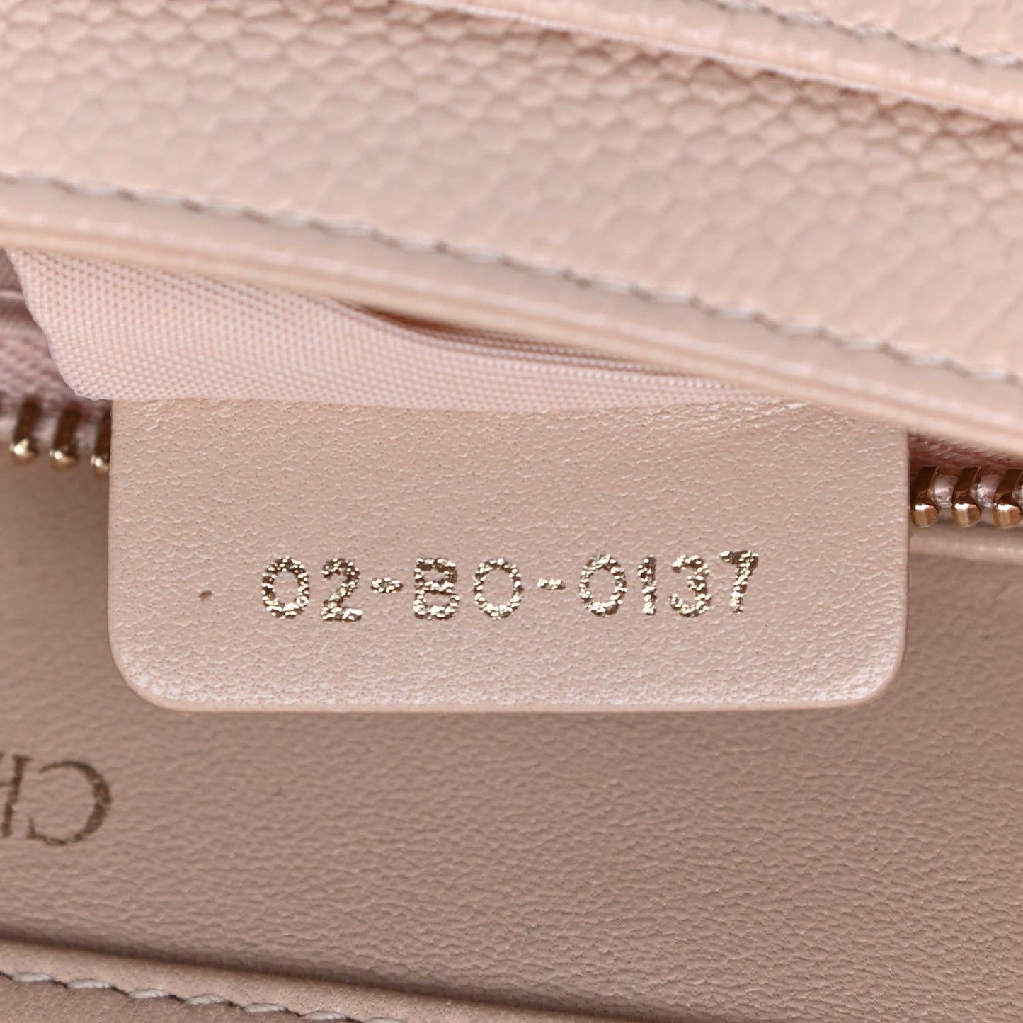 Grained Calfskin Diorama Wallet on Chain Pouch Nude