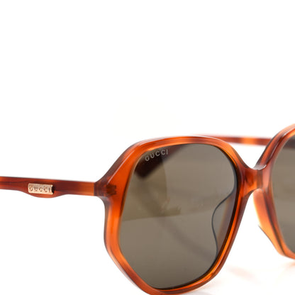 Gucci Acetate Round Sunglasses GG0258SA Tortoise 7 of 7
