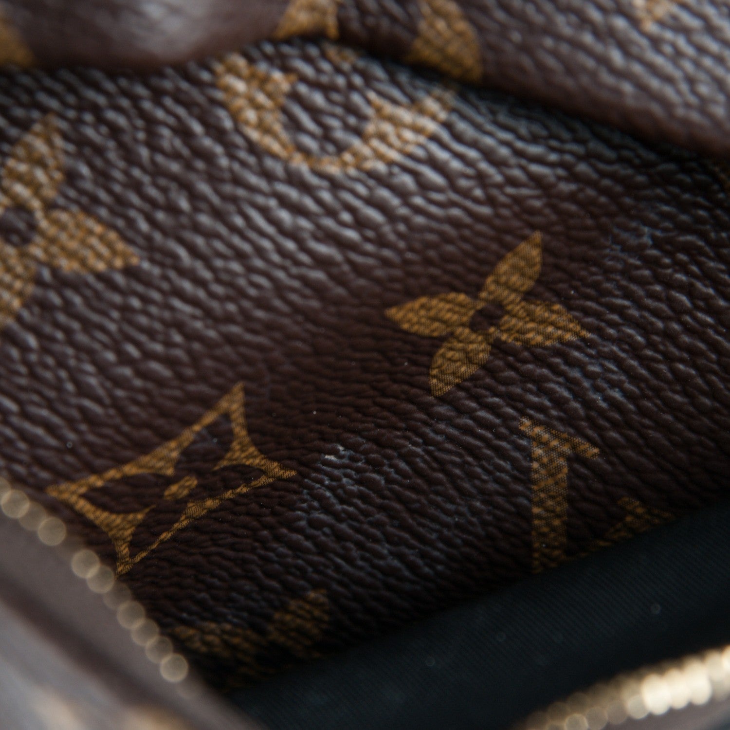 Louis Vuitton Monogram Palm Springs Backpack PM 8 of 9