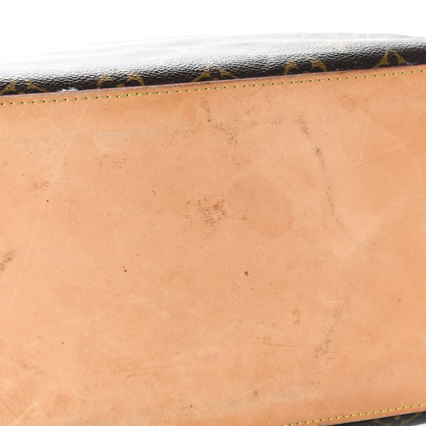 Monogram Cabas Mezzo