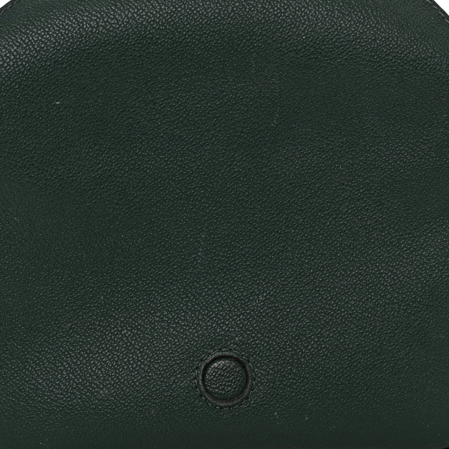 Soft Grain Calfskin Small Buckle Zip Bag Green