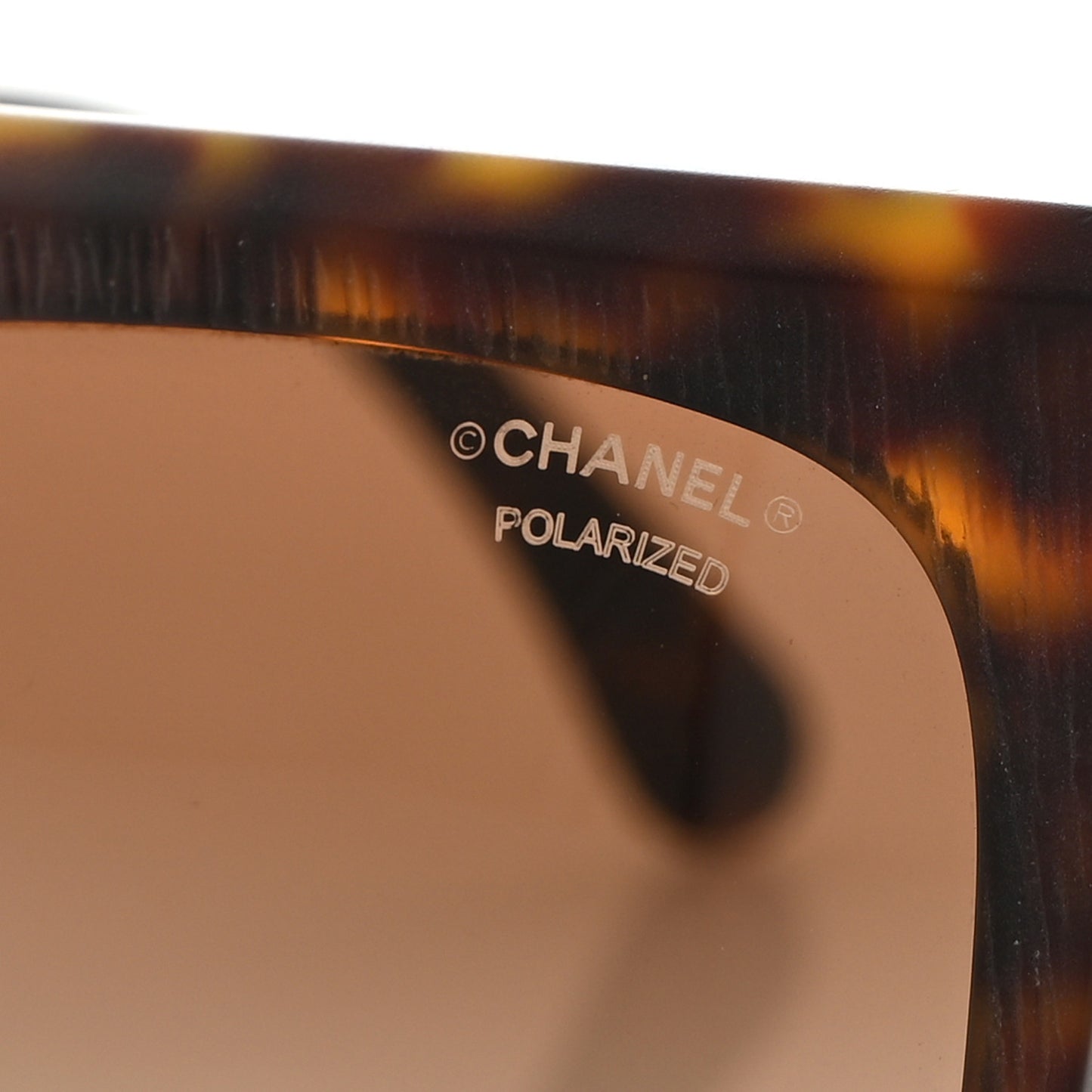 Polarized CC Sunglasses 5333 Tortoise