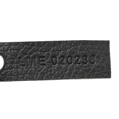 Goyard Goyardine Saint Louis PM Grey 8 of 11