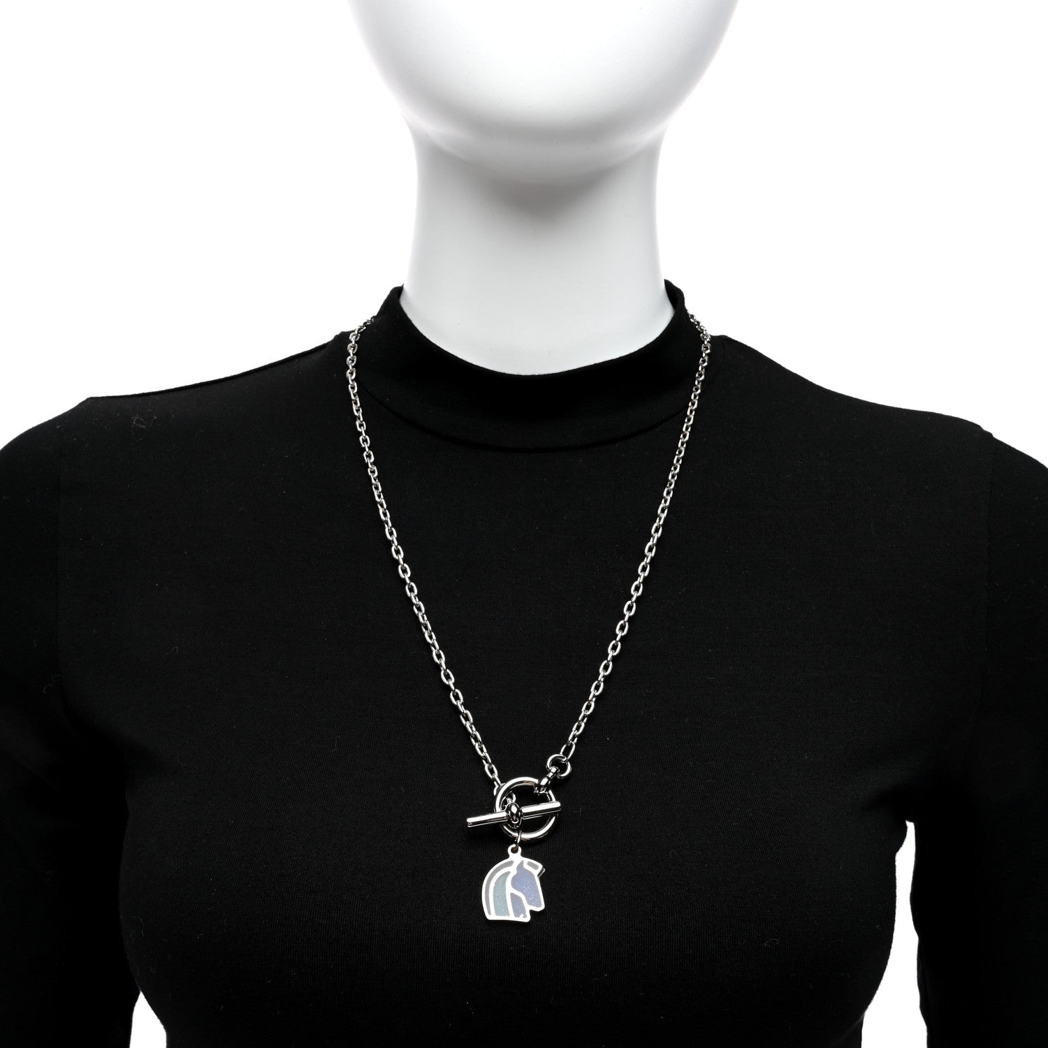 Hermes Palladium Enamel Helios Cheval Necklace Camaïeu De Bleu 3 of 5