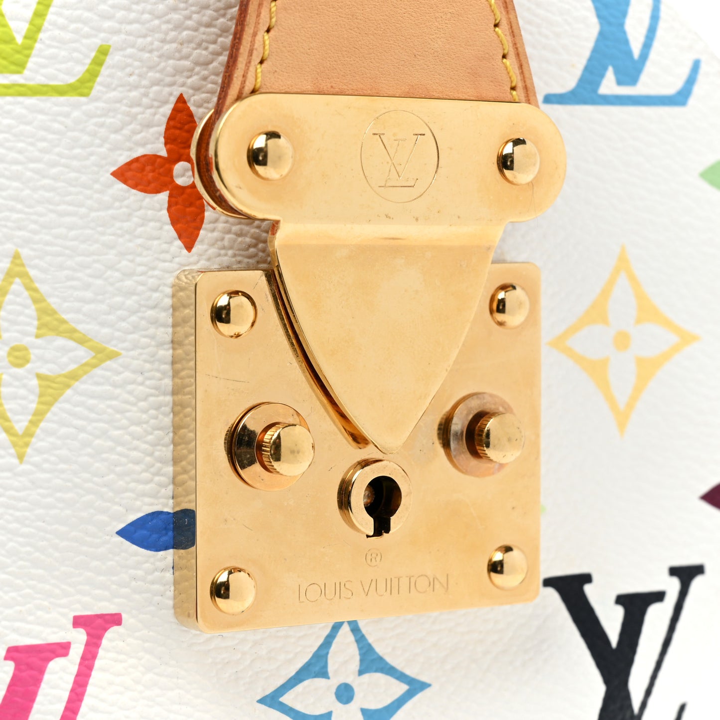 Monogram Multicolor Speedy 30 White
