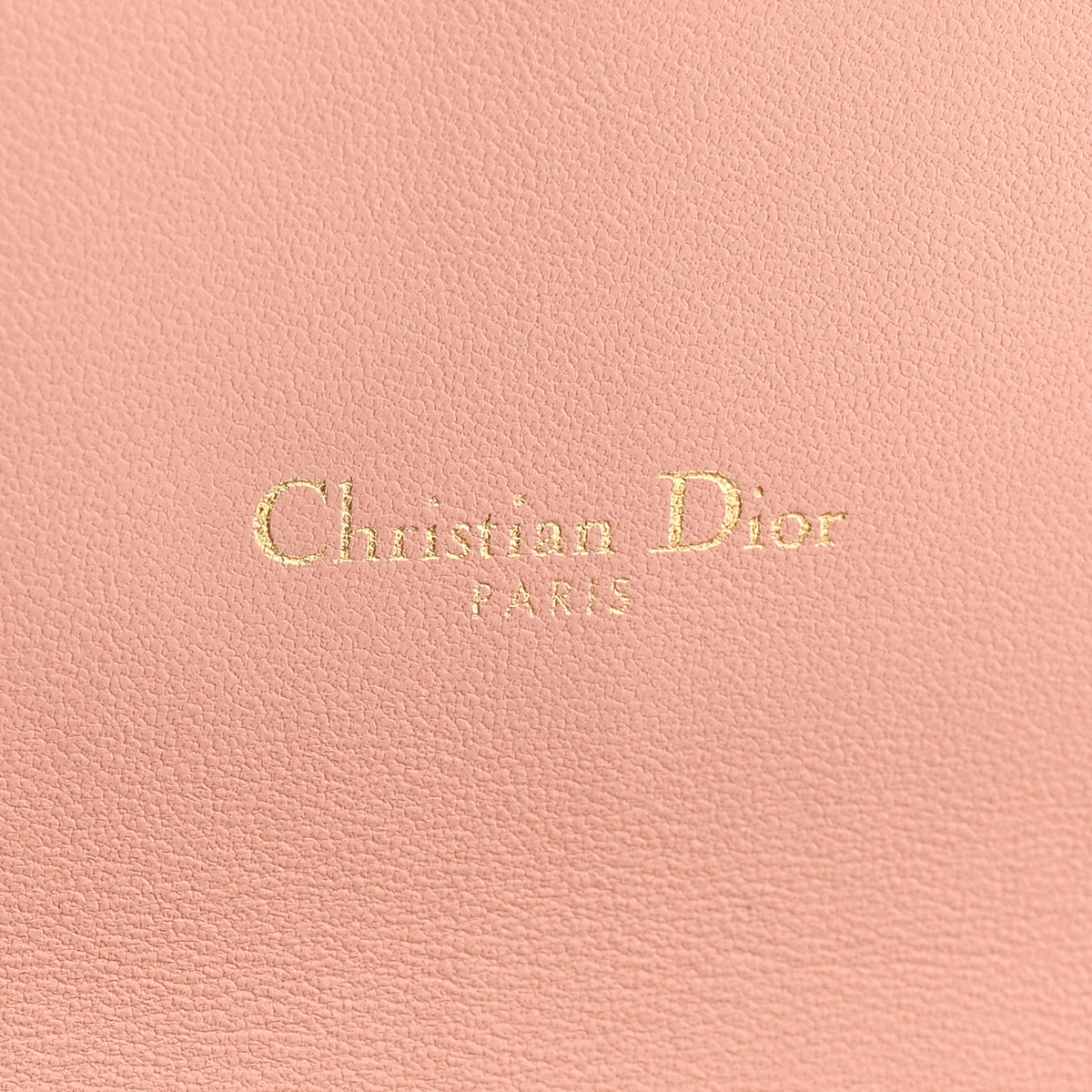 Christian Dior Goatskin Saddle Long Wallet With Chain Rose Des Vent 7 of 14