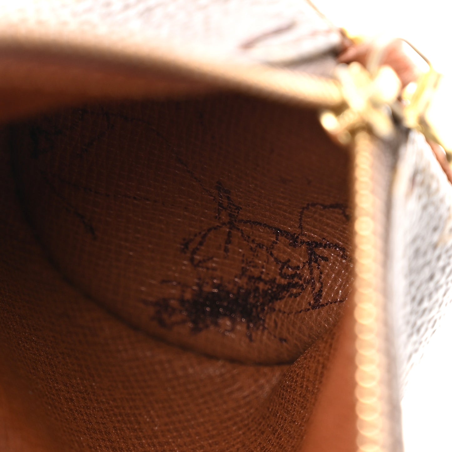 Monogram Papillon 30 With Companion