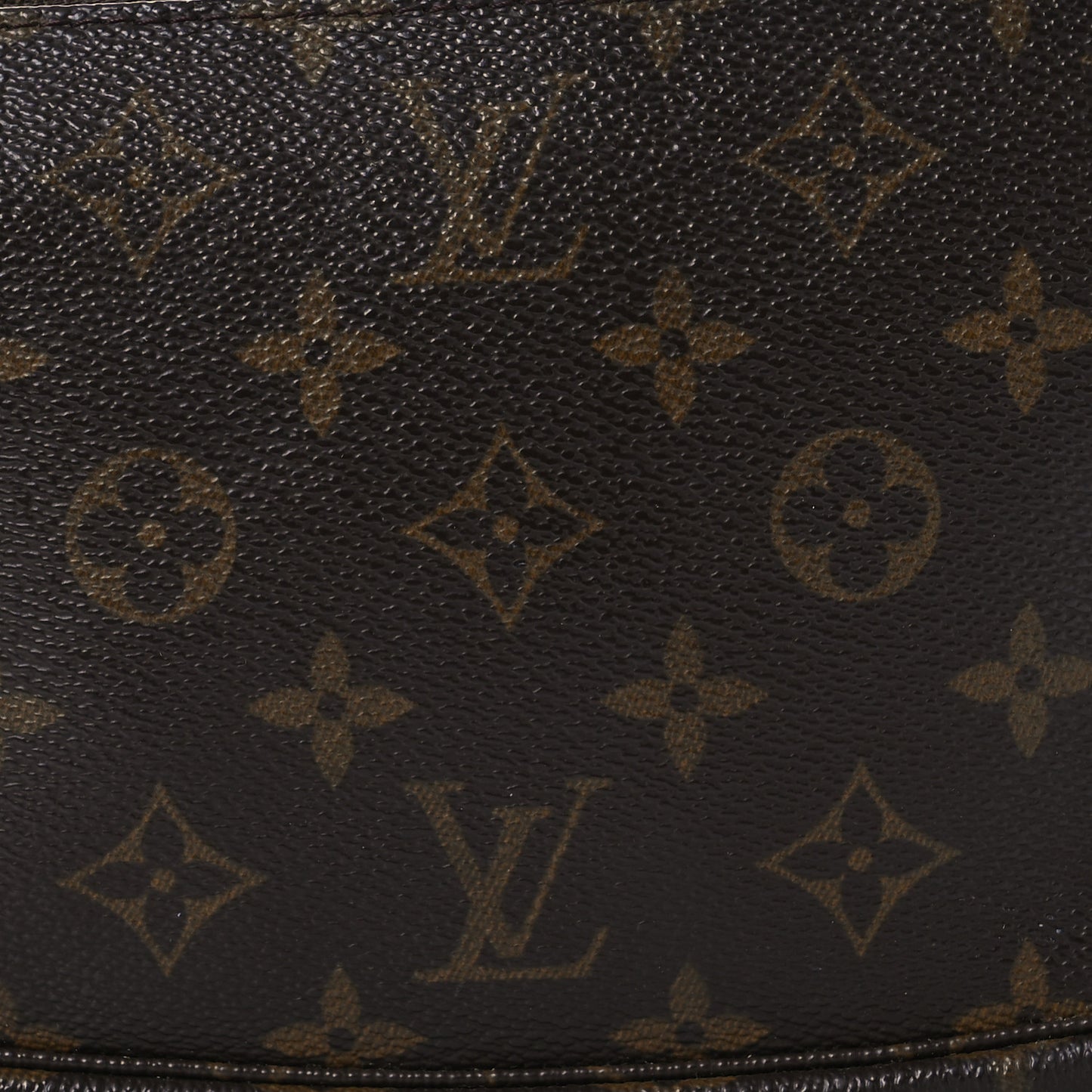 Monogram Pochette Accessories